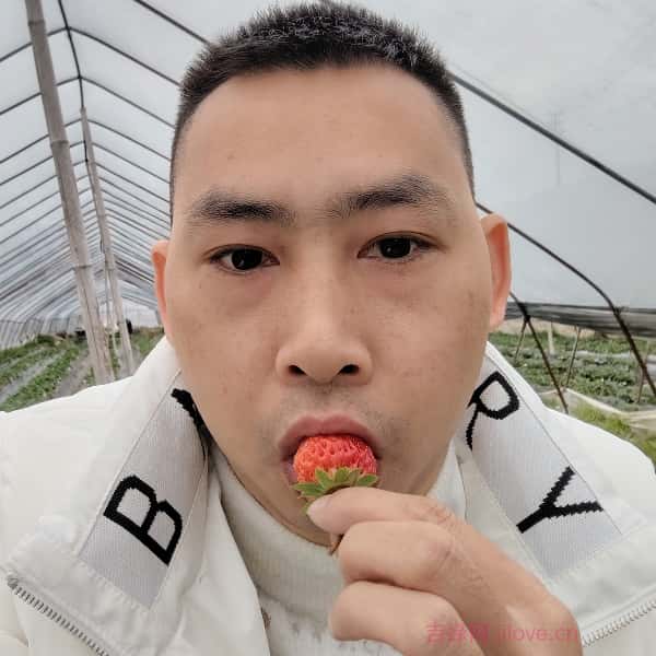 塔城征婚网