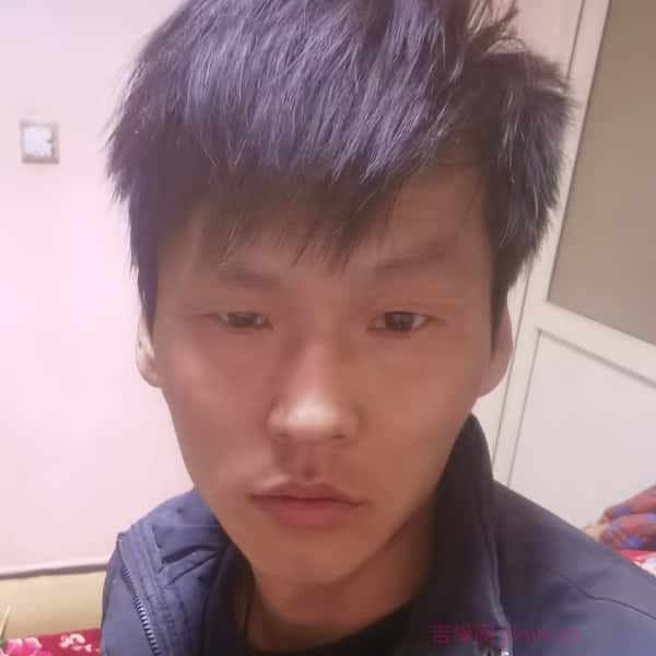 塔城征婚相亲网